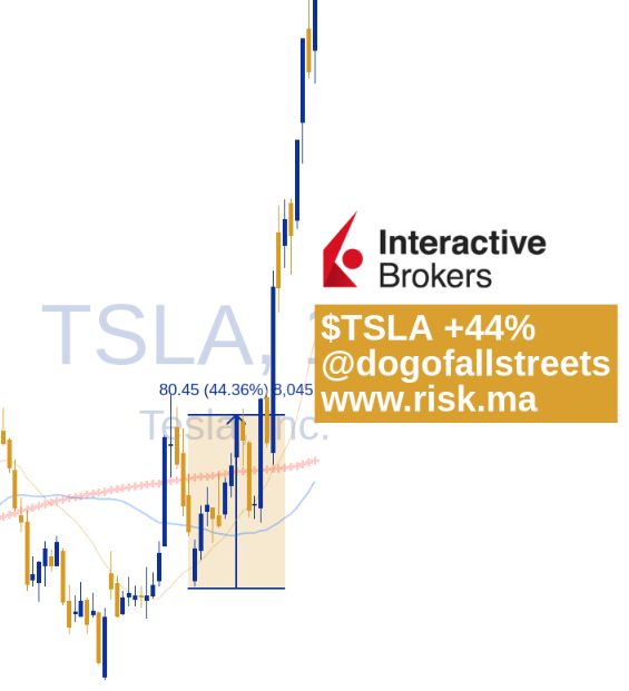 TSLA best trade by dogofallstreets