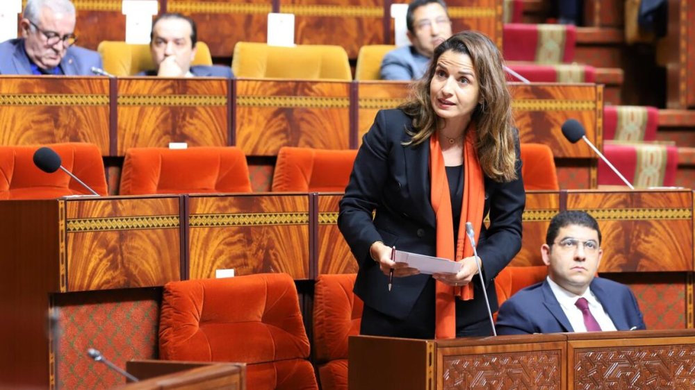 Le raccordement du réseau gazier national au Gazoduc africain atlantique dans le pipe (Benali)