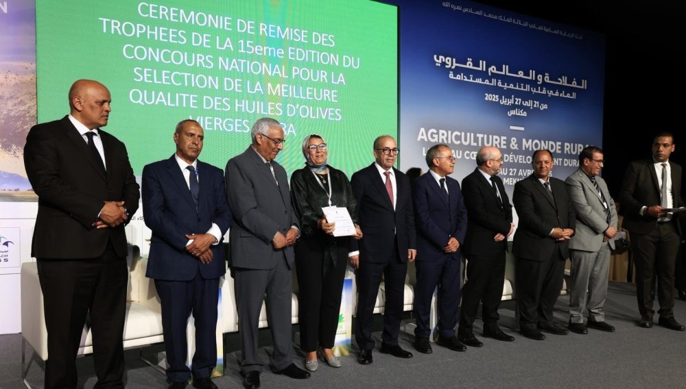 SIAM 2025 : 12 huiles d’olive de trois régions du Maroc primées