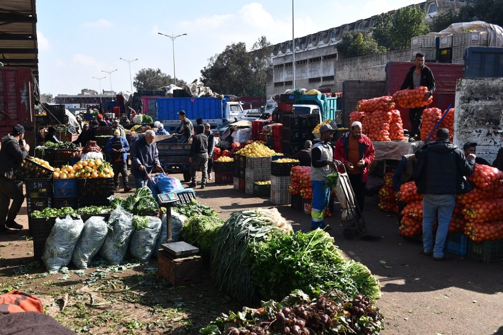 Légère hausse des viandes ovines à Casablanca, les légumes gardent le cap