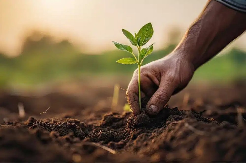 Agriculture durable : le Maroc au cœur d’un ambitieux programme de financement du Fonds Mirova Sustainable Land 2