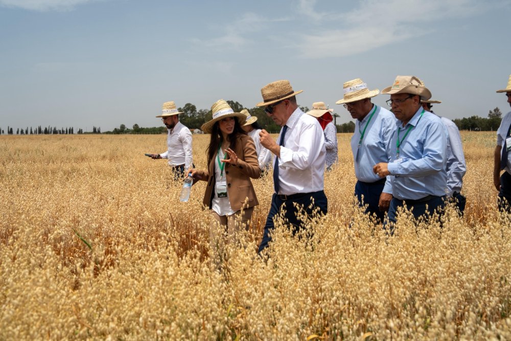 Amélioration génétique, irrigation... L’INRA et l’ICARDA dévoilent leurs innovations agricoles