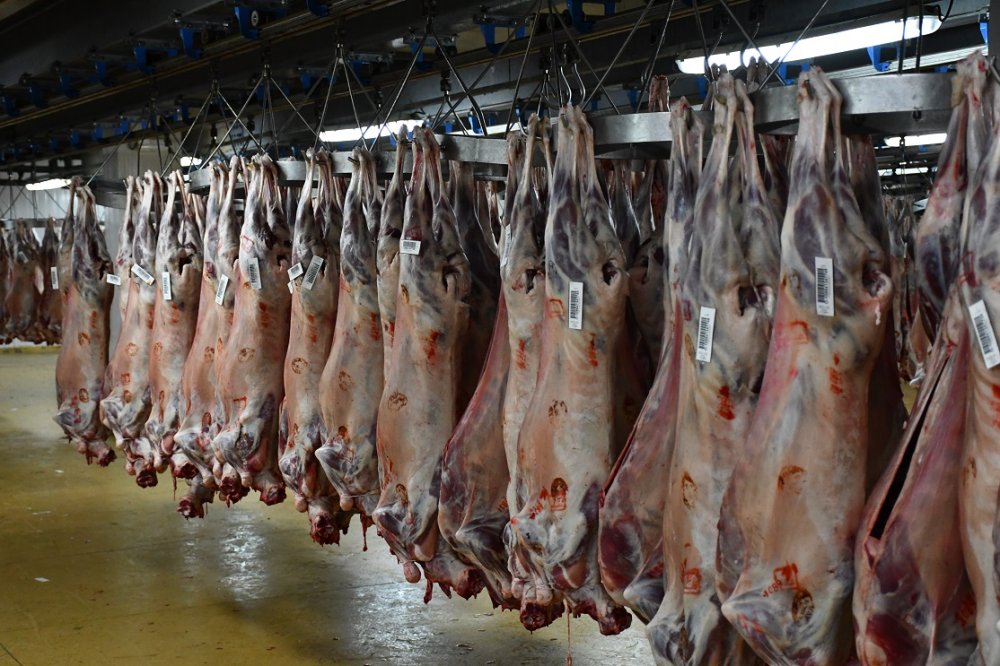 Les prix des viandes ovines flambent à Casablanca à l’approche de l’Aïd Al Adha