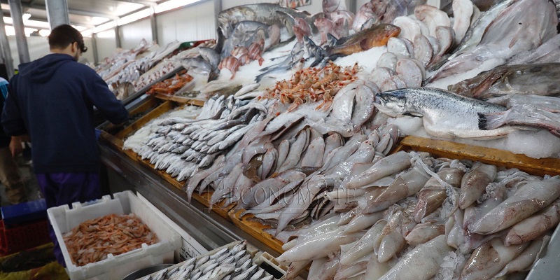 Produits de la mer : 34 MDH investis pour digitaliser les ventes aux enchères dans les marchés de gros 