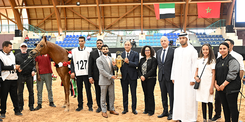 Rabat accueille l’édition 2025 de l’Emirates Arabian Horse Global Cup