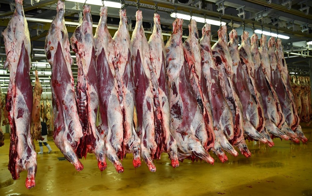 Baisse des prix des viandes rouges au marché de gros de Casablanca