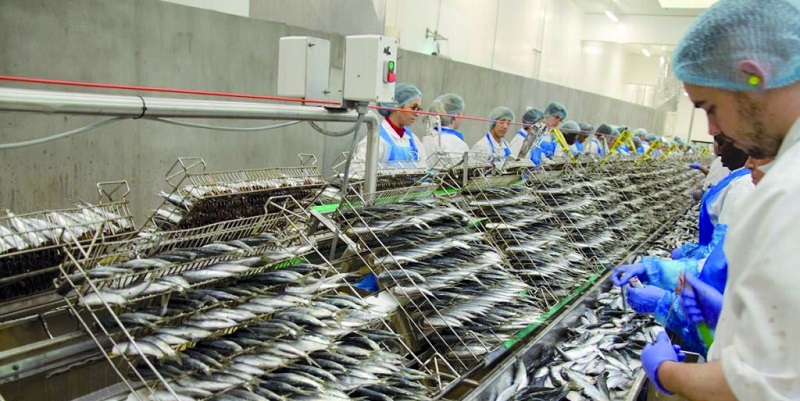 Conserve de poisson : La filière tire la sonnette d