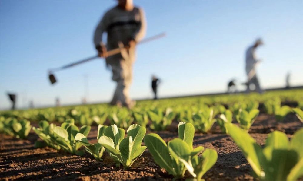 La croissance économique du Maroc accélère à 4,8% au premier trimestre 2025