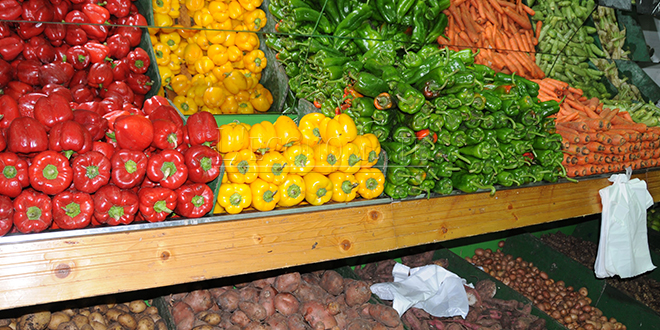 Le Maroc triple ses exportations de poivrons vers l’Espagne en 10 ans
