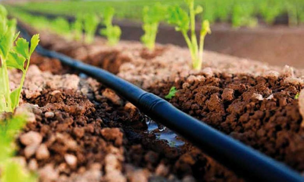 Résilience climatique : le Maroc dans le top 5 des pays ciblés par le fonds Acumen