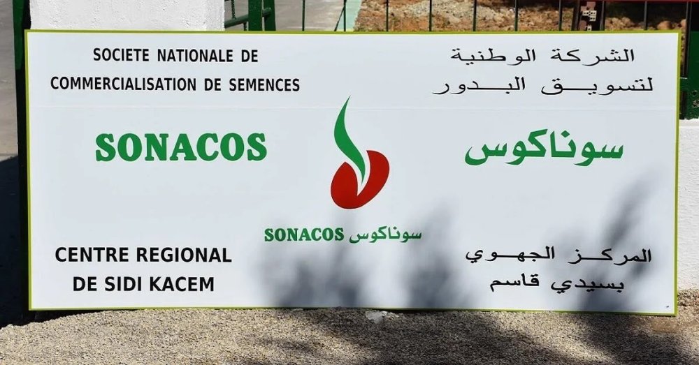 Semences : La Sonacos envisage la révision de son business model