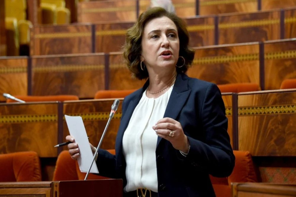 Tourisme : 34 milliards de DH de recettes en devises à fin mai (Ammor)