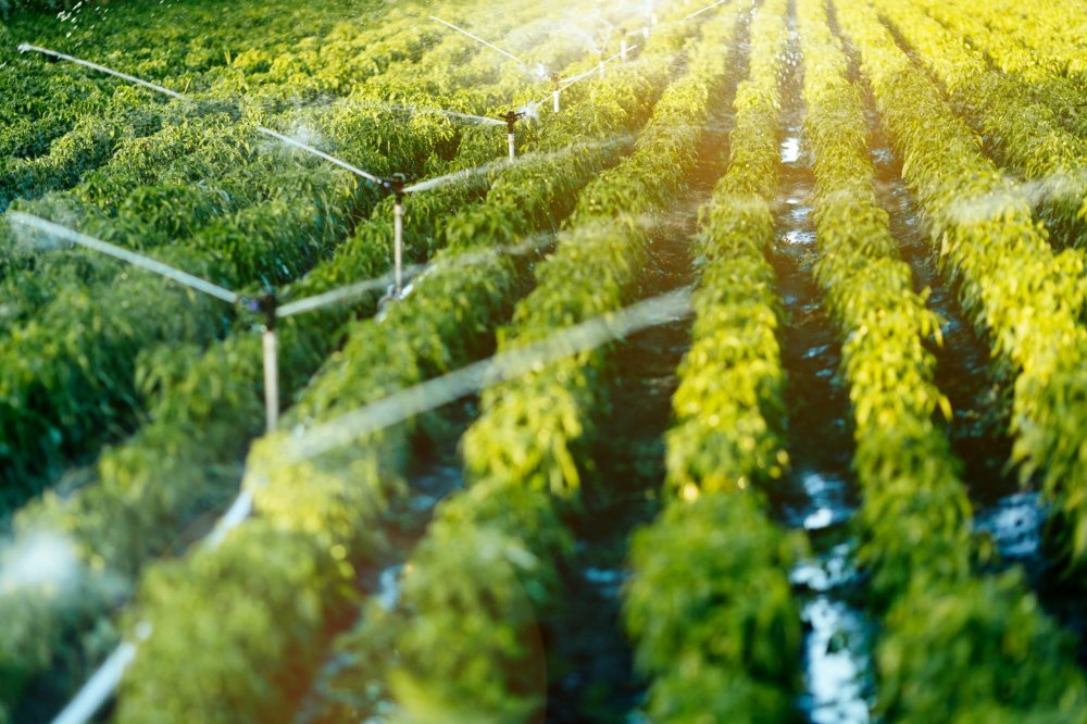 Conseil agricole : L’ONCA engagera bientôt une nouvelle Feuille de route