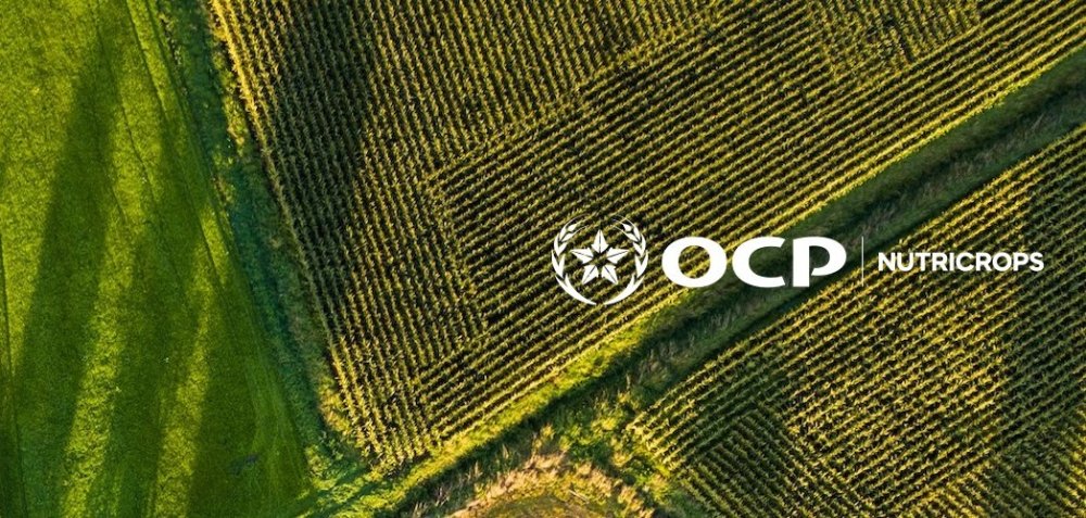 OCP Nutricrops va livrer 1,1 million de tonnes d’engrais au Bangladesh d’ici 2026