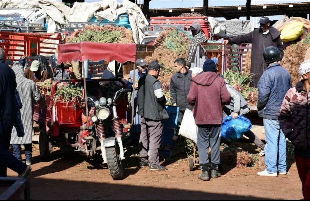 Viandes, fruits, légumes... stabilité des prix au marché de gros de Casablanca