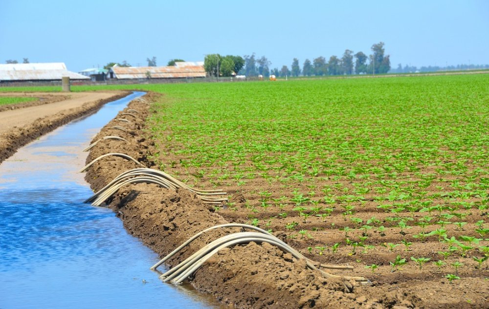 Agriculture: le Maroc relance son méga-projet d’irrigation sur 30.000 ha dans le Gharb