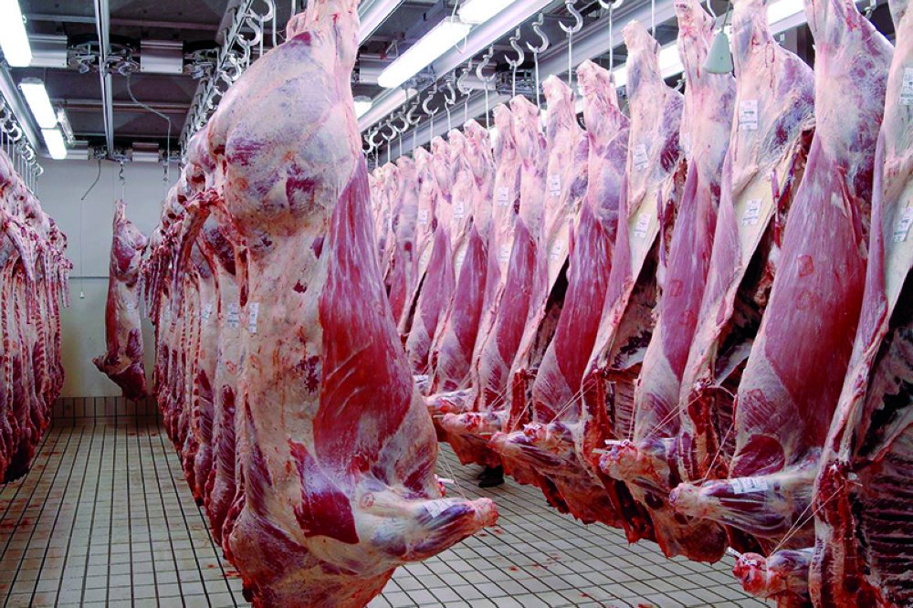 Baisse des prix des viandes au marché de gros de Casablanca