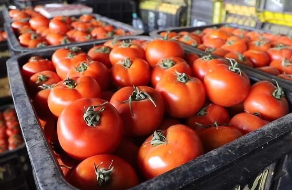 Hausse des prix des tomates et stabilité du marché des viandes à Casablanca