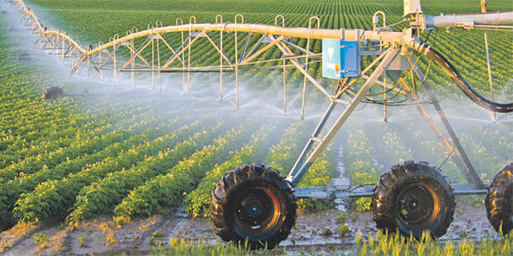 La FENAGRI organise la 1re édition de l'Agro Export Day