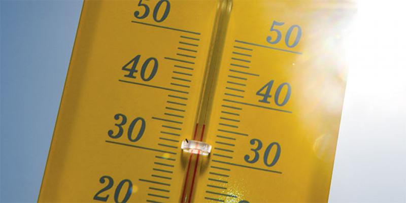 Météo : Temps chaud avec rafales de vent ce dimanche