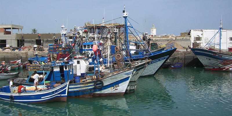 Pêche : Bon cru des débarquements au port de Safi