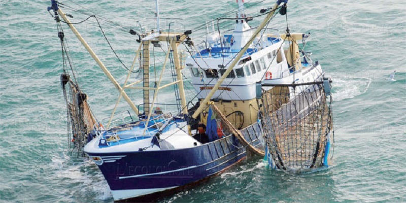 Port de Dakhla : Les débarquements de pêche reculent à fin juillet