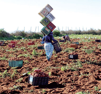 Agriculture solidaire et inclusive: Le nouveau programme démarre en novembre