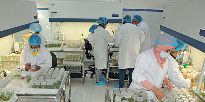 Capital humain: Le Maroc à l’épreuve des méga-tendances