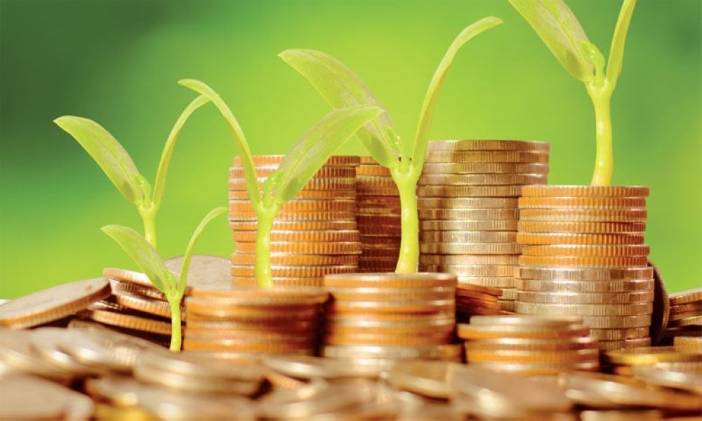 Entrepreneuriat vert au Maroc : «Green Forward» renforce l'écosystème d'accompagnement