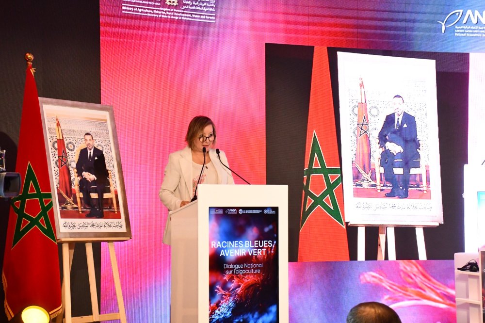 L’algoculture pourrait générer 36.000 emplois et 450 M$ pour le Maroc (Banque mondiale)