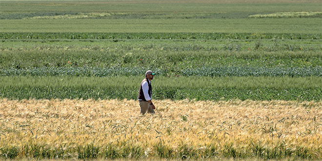 Le Maroc est-il encore un pays à vocation agricole?