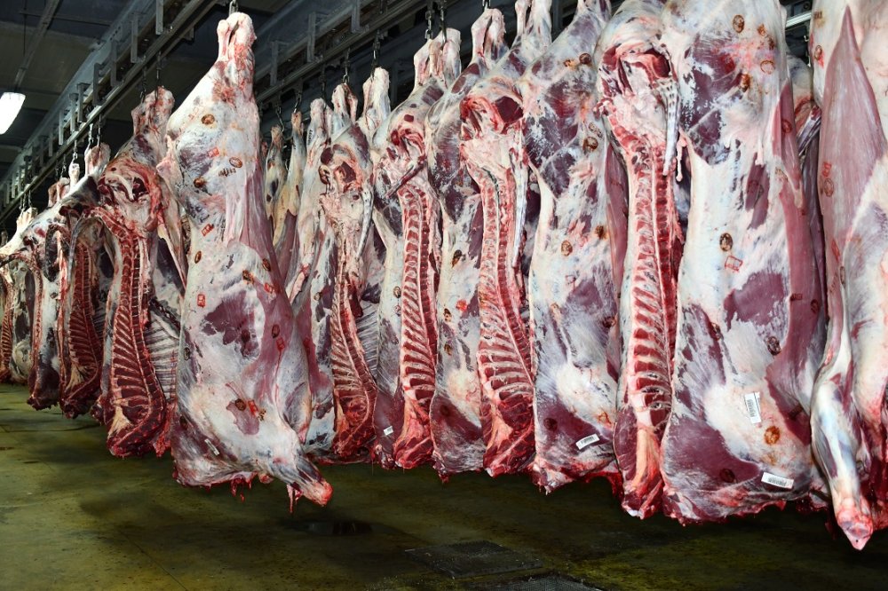 Les prix des viandes rouges en baisse à Casablanca