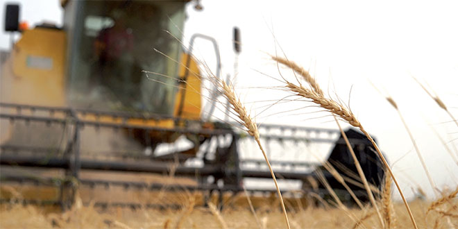 Quand remédiera-t-on sérieusement aux maux qui rongent notre agriculture: Le cas de l’élevage