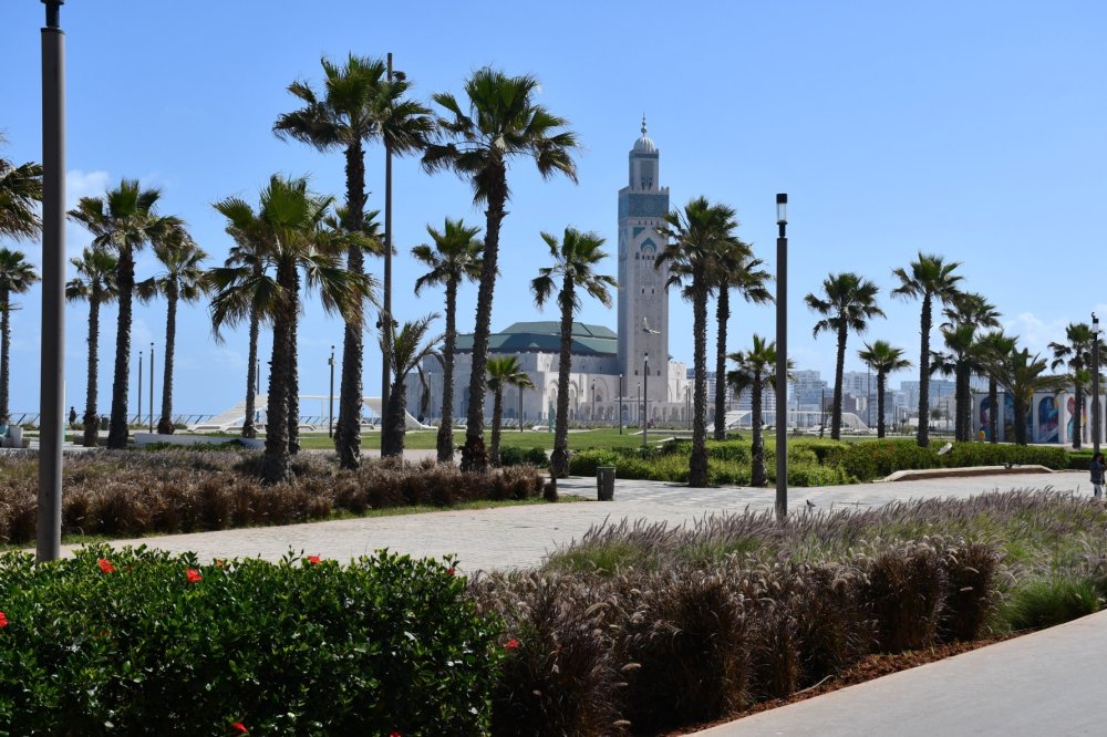 Tourisme : comment faire de Casablanca-Settat une destination de premier plan