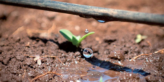 Agroécologie: Une formation sur les transitions à initier
