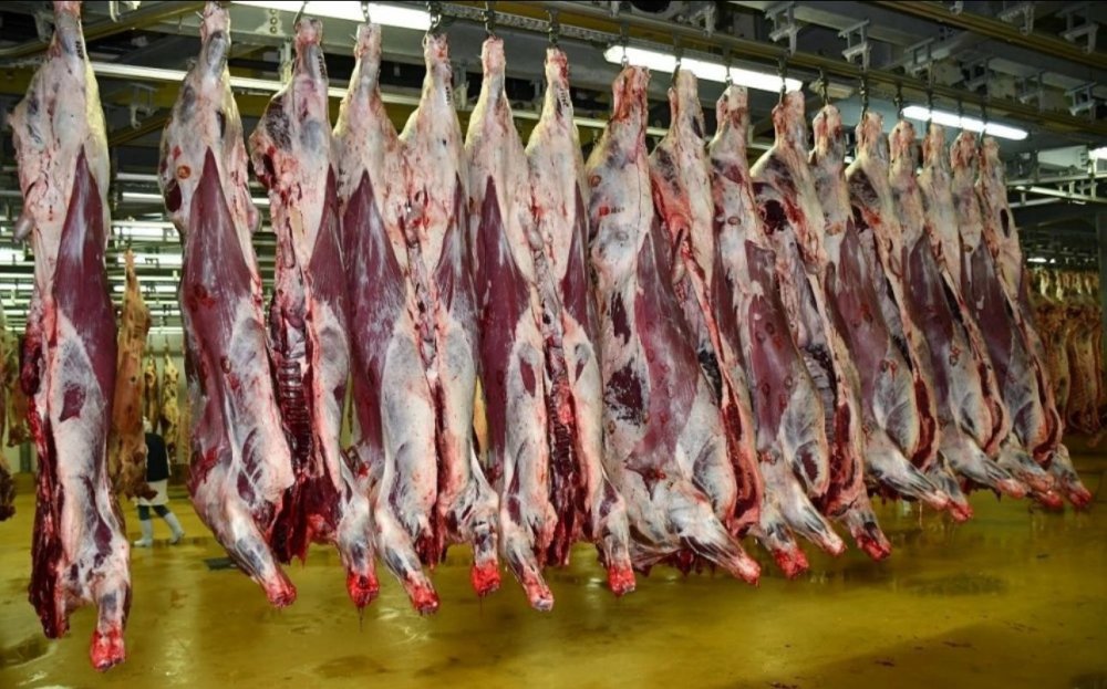 Baisse des prix des viandes rouges à Casablanca