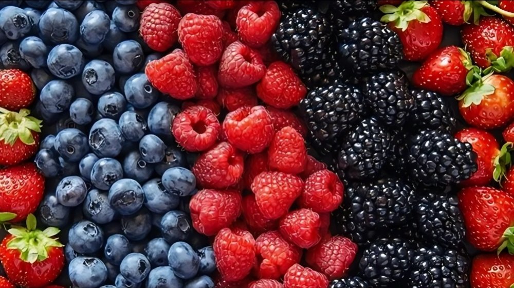 La myrtille et la framboise stimulent les exportations marocaines de fruits rouges