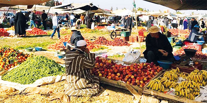 La nécessaire prise en compte de la petite agriculture