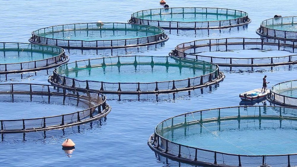 Le Maroc évalue pour la première fois la contribution de l’économie bleue au PIB