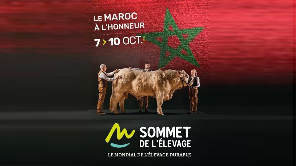 Le Maroc, invité d’honneur du Sommet de l’élevage en France