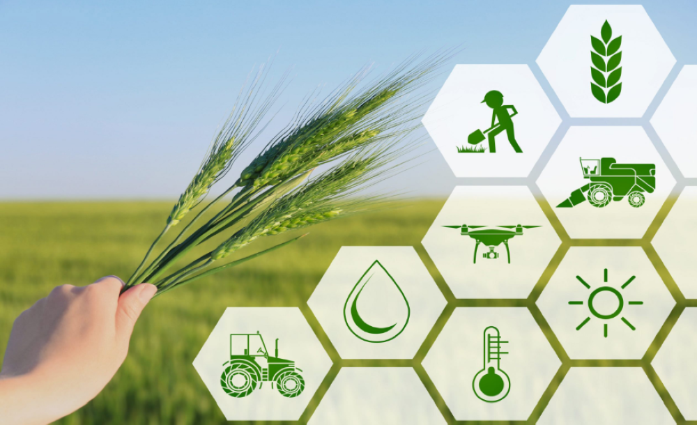 Le plan pour dynamiser les industries agricoles en milieu rural