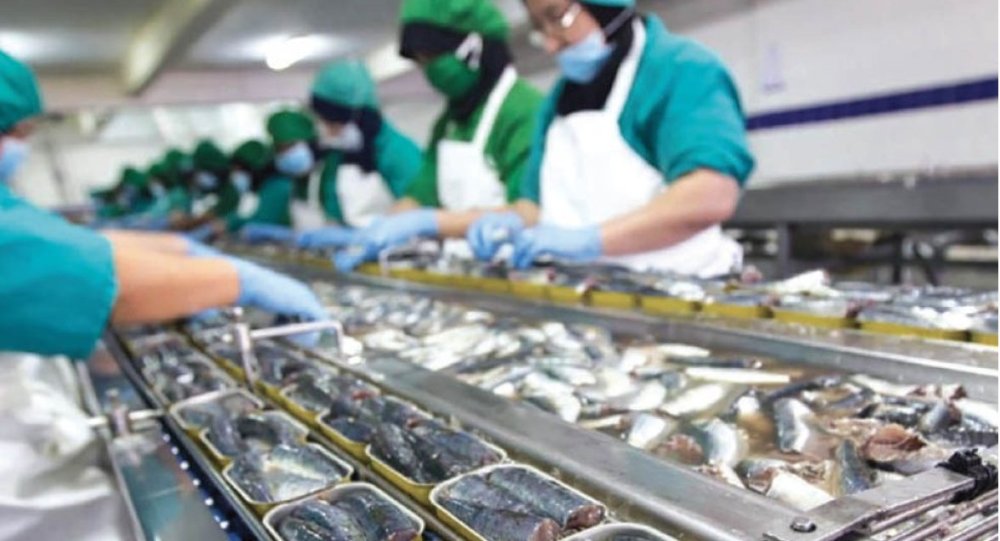 Produits de la mer : le Maroc en quête de nouvelles opportunités à l’export au Ghana et au Nigeria