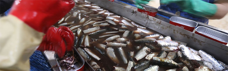 Une batterie de mesures pour la promotion de la sardine