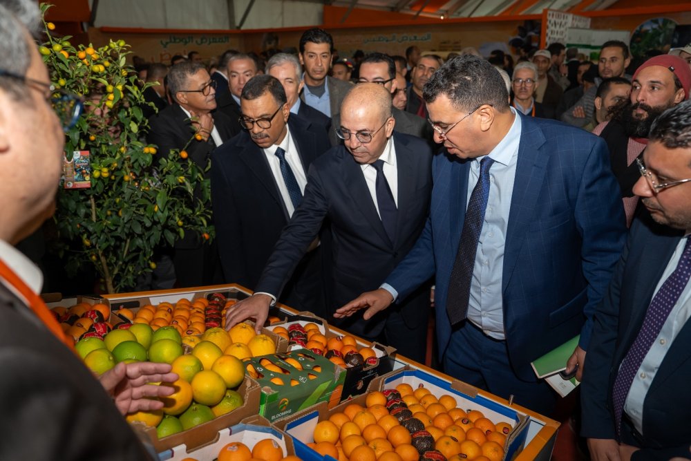 Le premier Salon National des Agrumes ouvre ses portes à Sidi Kacem