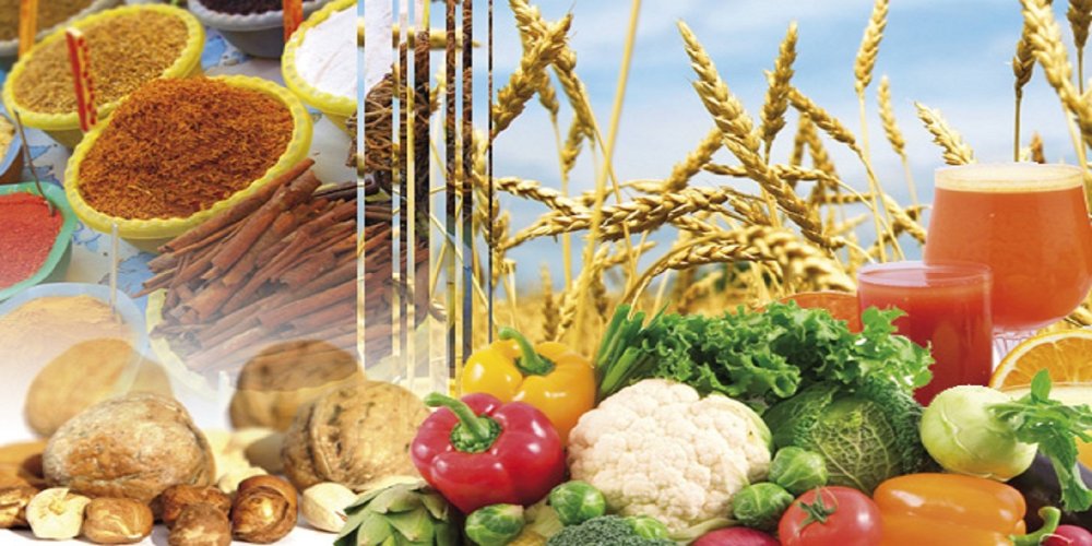 L’industrie agroalimentaire est resté solide en 2024, malgré la sécheresse (Etude)