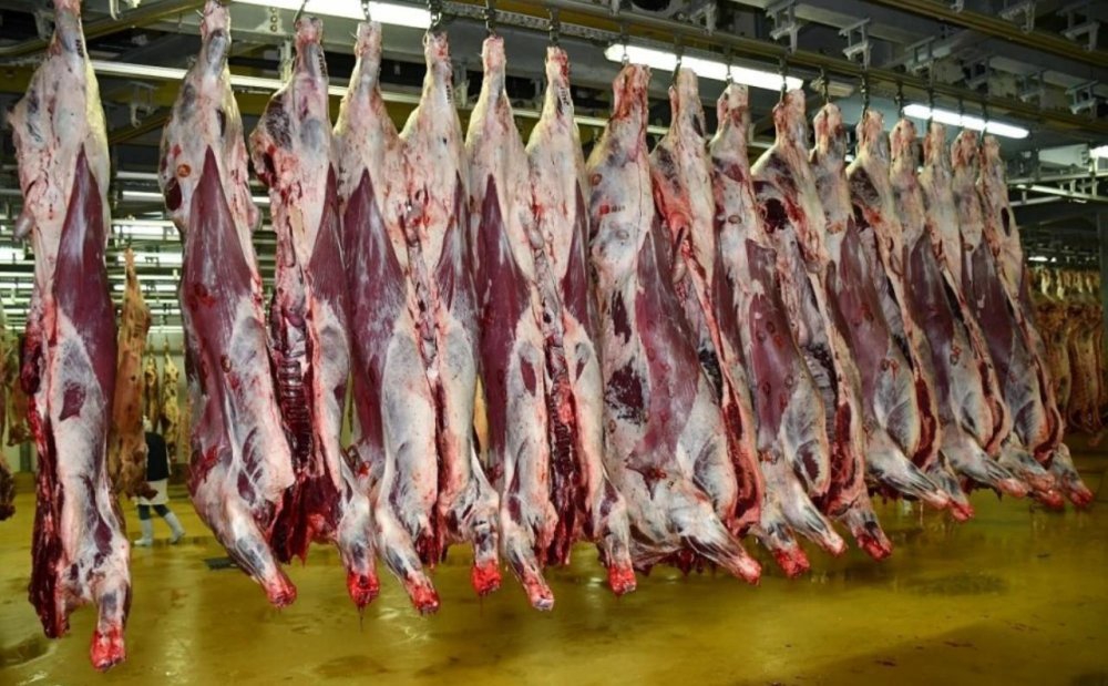 Nouvelle baisse des prix des viandes rouges à Casablanca