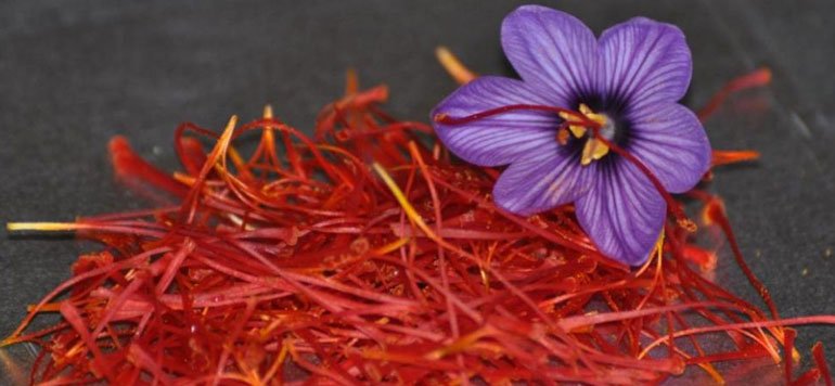 PLF-2026: des mesures qui soulagent les agriculteurs